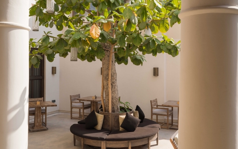 7. Outdoor Courtyard Area