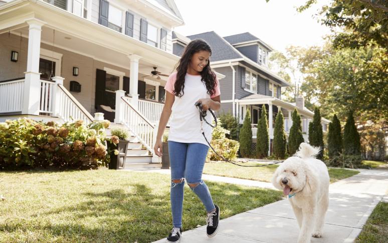 5. Your Needs and Preferences