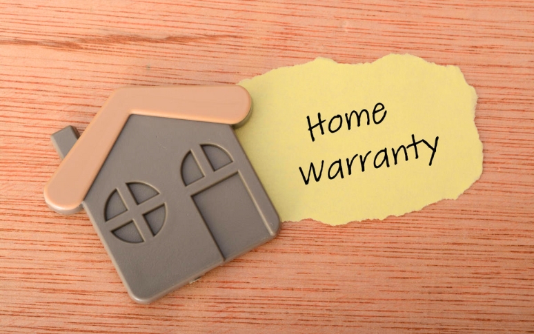 Financial Incentives and Warranties
