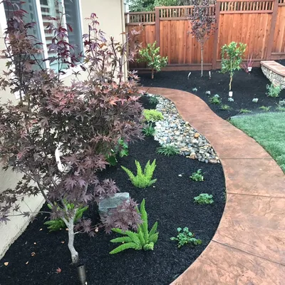 Vision 20/20 Landscaping