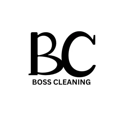 Boss Cleaning