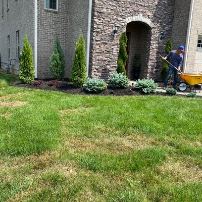 vasquez landscaping