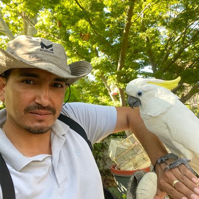 Los Cuinis Garden & Landscaping