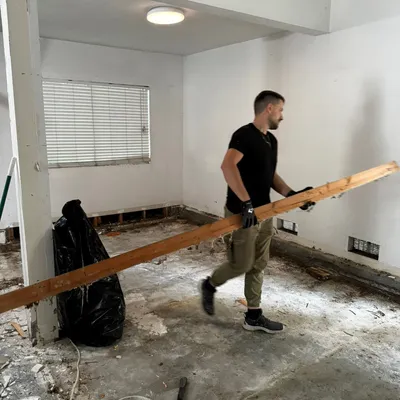 HandyBrother in painting