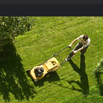 The Carters lawn mowing &home cleaning