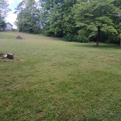 Vaughn lawn and handy services