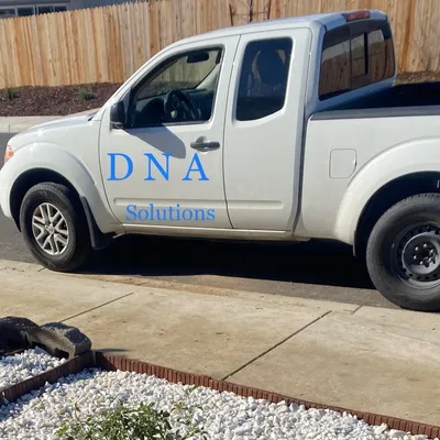 D N A   SOLUTIONS