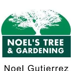 Noel Tree & Gardening