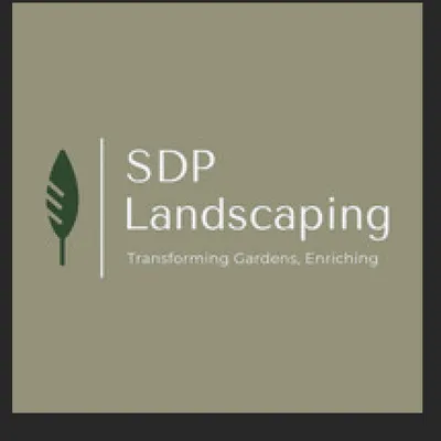 SDP landscape