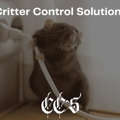 Critter Control Solutions