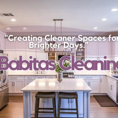 Babitas cleaning services