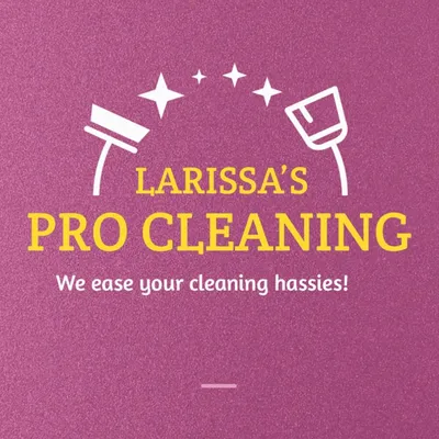 Larissa’s Pro Cleaning