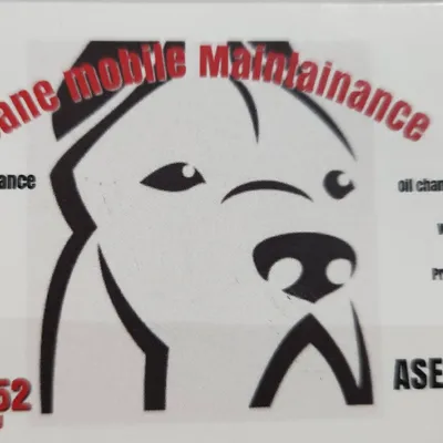 Dane Detail and Handyman service