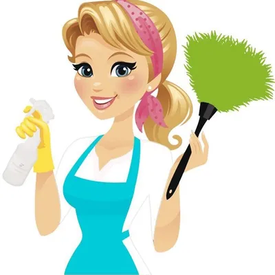 Mrs. Dust Cleaning Services
