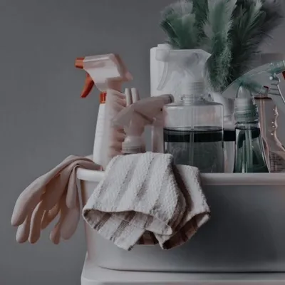 B. Cleaning Services