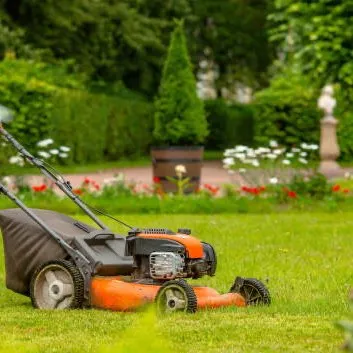 Southern Charm Lawn Services