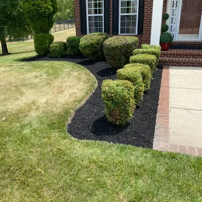 López landscaping