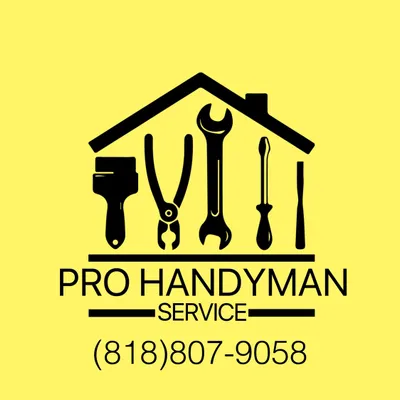 Pro Handyman Service
