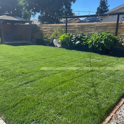 Luis Gonzalez Landscaping