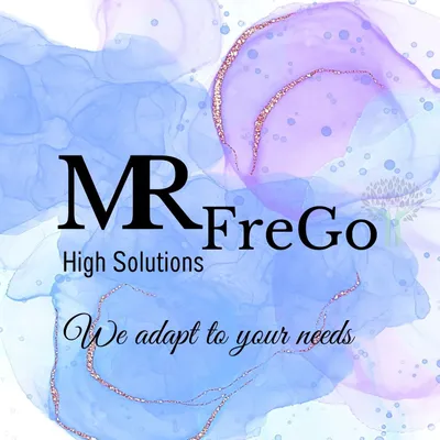 MR FreGo High Solutions LLC