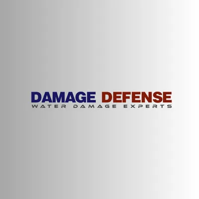 Damage Defense