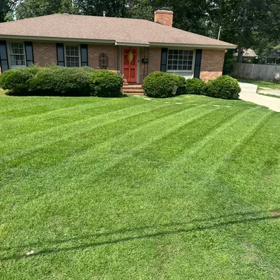 Eco Oasis Lawn Care