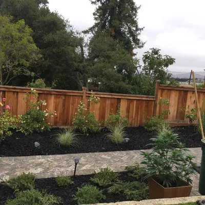 jose Mendoza Landscaping