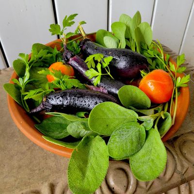 Basileia Home & Garden / Transformational Tutoring