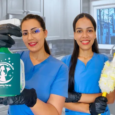 Cleaning Fairies