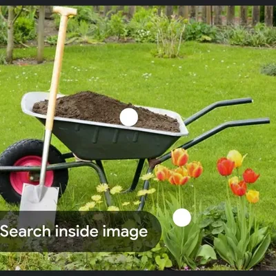 up town lawn care services