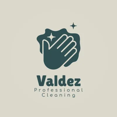 Valdez Professional Cleaning & Multi Services