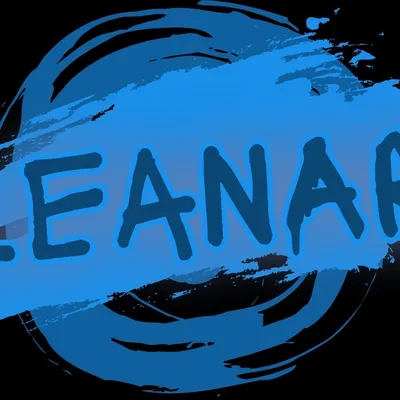 Cleanart Services