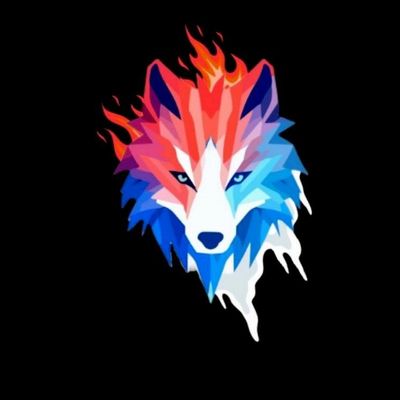 Alpha Air llc