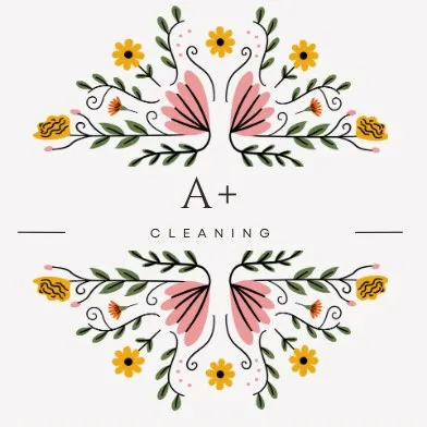 A+ CLEANING