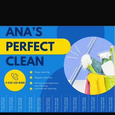 Ana’s Perfect Cleaning