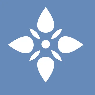 Clean Nest LLC