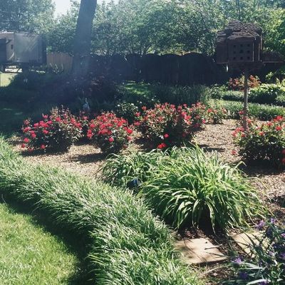 Murphy Landscaping & Lawn Inc.