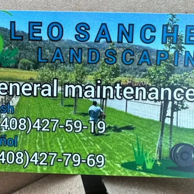 Leo landscaping