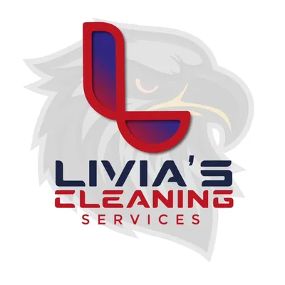 Lívia’s cleaning service