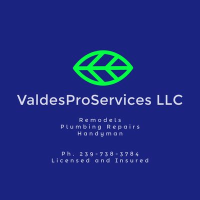 Valdes Pro Services LLC