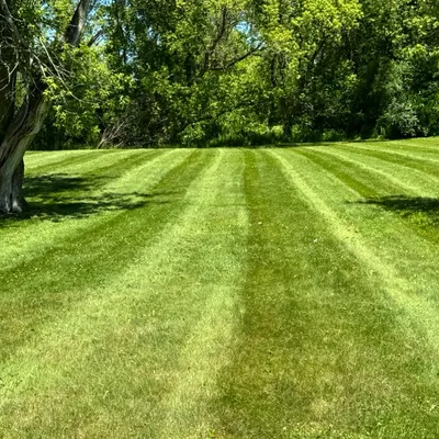 Total power washing and mowing LLC