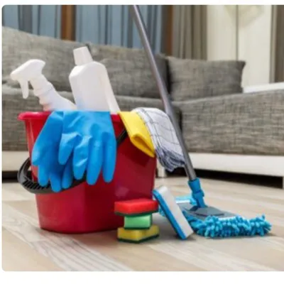 Menendez cleaning services