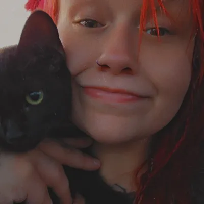 ally cat cleaners
