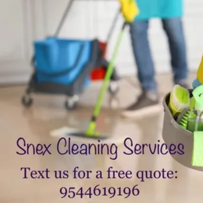 Snex home services