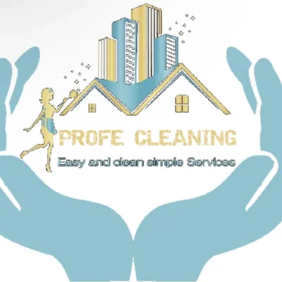 Profe Cleaning