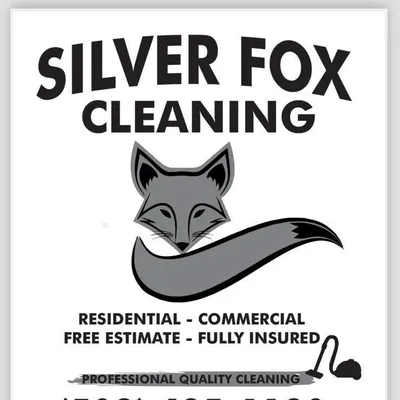 Silver Fox Cleaning