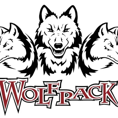 Wolfpack General Services