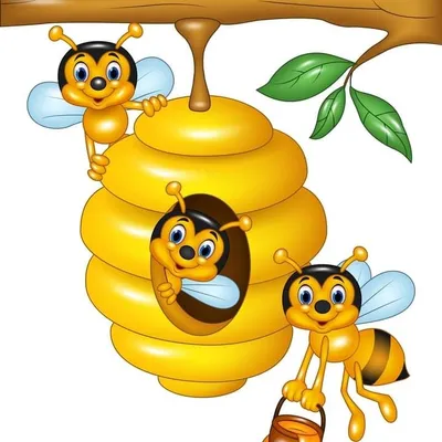 TidyHive Crew