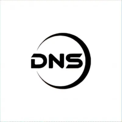 DNS LLC