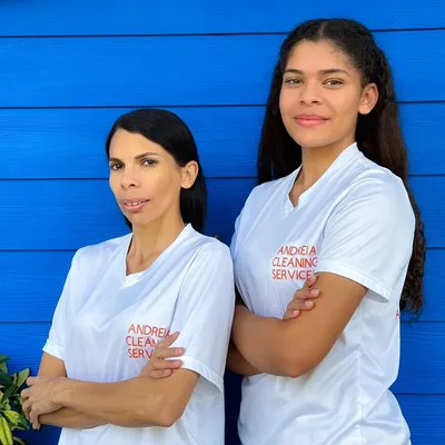 Andréia cleaning services